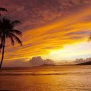 Meet your Posher, Sue